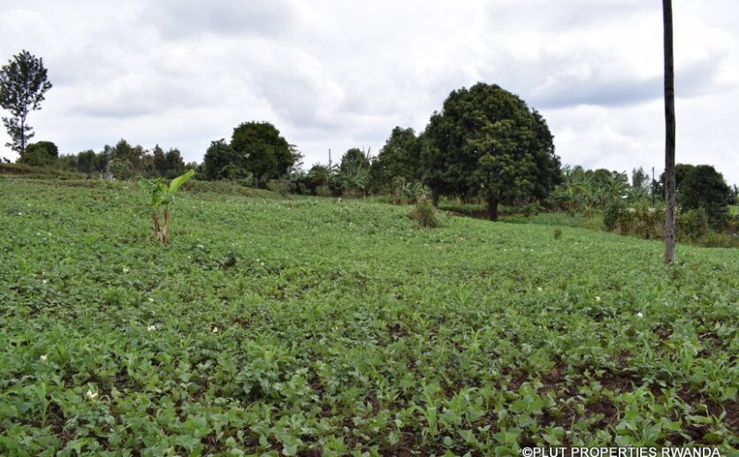 Agricultural land in Kigali Real Estate Rent Buy Sale Rwanda Kigali