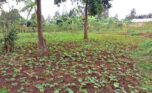 rwamagana land plut properties (8)