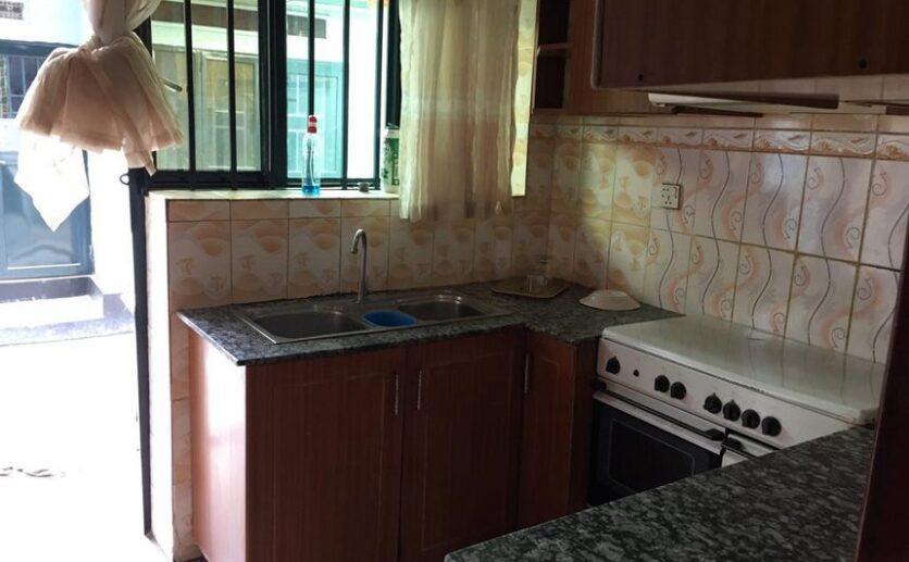 HOUSE FOR RENT IN KACYIRU (42)