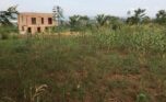 A land for sale in Rusororo (2)