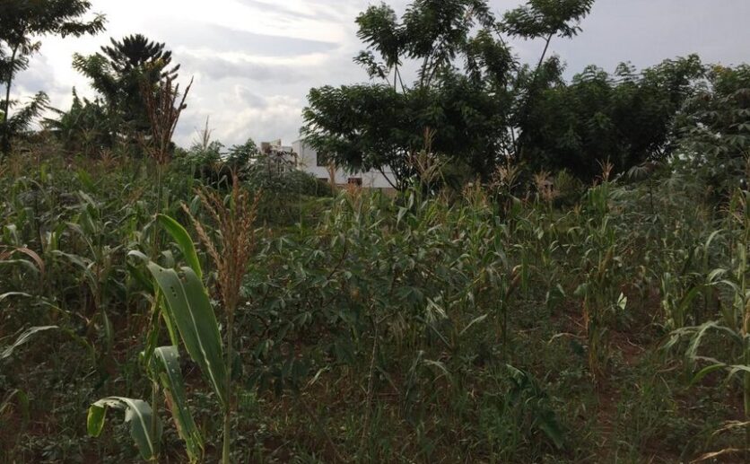 A land for sale in Rusororo (3)