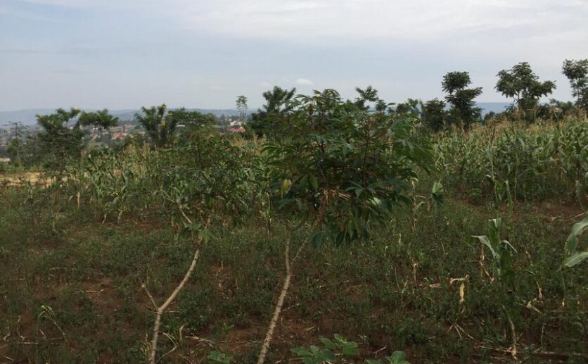 A land for sale in Rusororo (6)