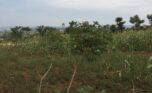 A land for sale in Rusororo (7)