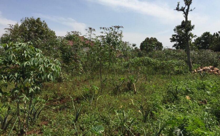 Land for sale in Rusororo (10)