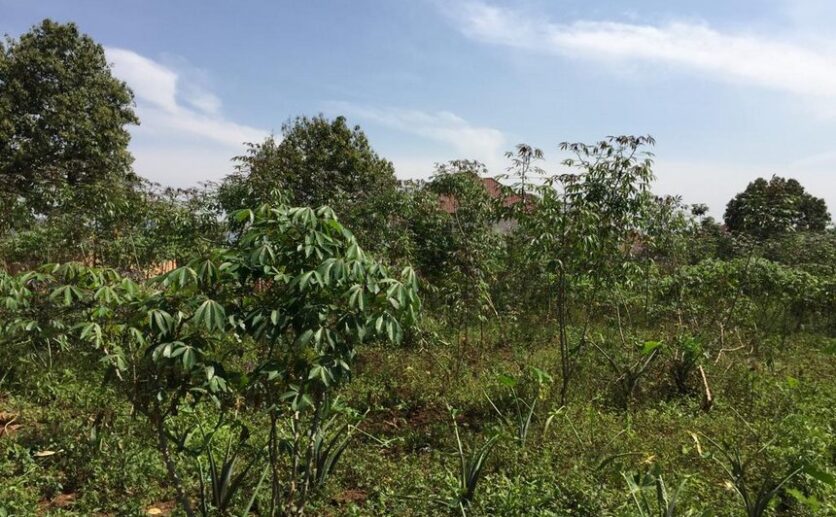 Land for sale in Rusororo (11)