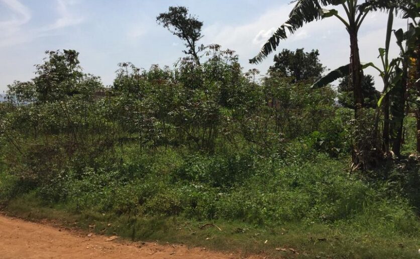 Land for sale in Rusororo (5)