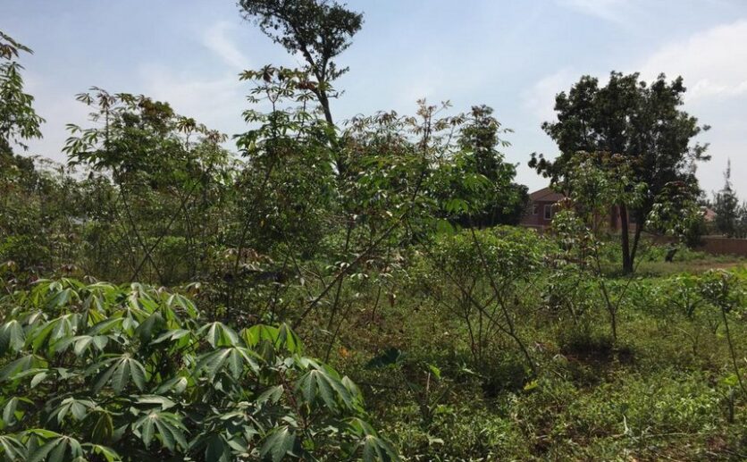 Land for sale in Rusororo (6)