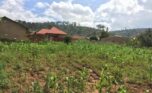 plot for sale in Bumbogo (3)