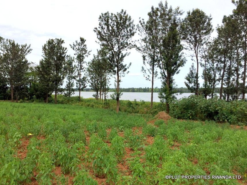 4 hectares land in Bugesera
