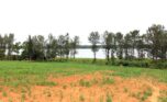 4 hectares land in Bugesera (7)