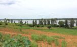 4 hectares land in Bugesera (8)