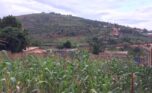 Big land in Bumbogo (4)