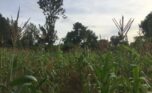 Flat land for sale in Kinyinya (2)