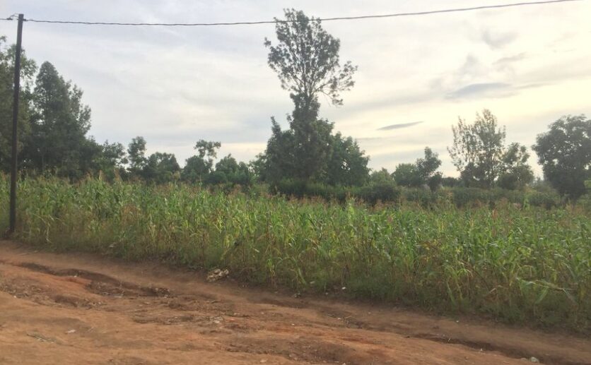 Flat land for sale in Kinyinya (4)