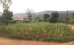 Flat land for sale in Kinyinya (6)