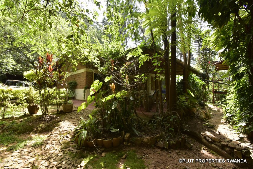 Furnished House in a Forest in Kigali