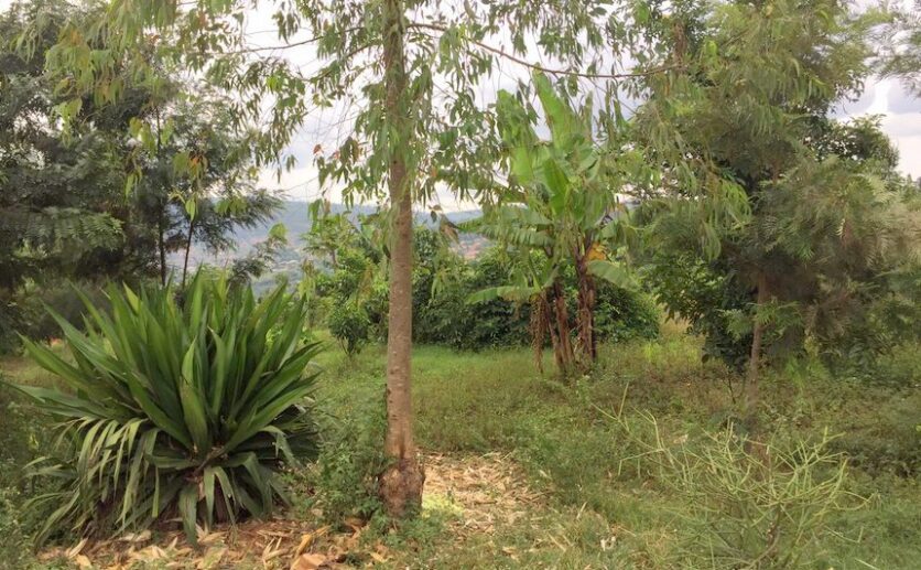 Land for sale in Kigali (1)