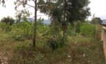 Land for sale in Kigali (4)