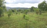 Land for sale in Kigali (5)