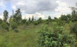 Land for sale in Kigali (8)