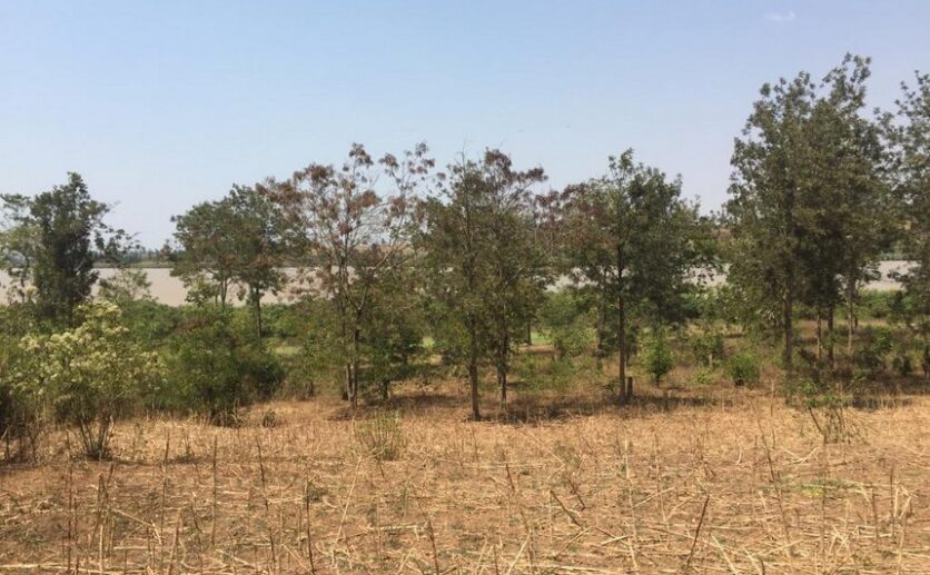 Land for sale in Bugesera (1)