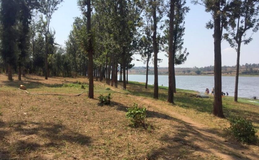 Land for sale in Bugesera (6)