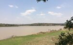 Land for sale in Bugesera (7)