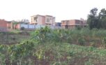 Big plot of land in Kinyinya (10)