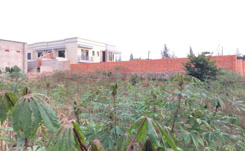 Big plot of land in Kinyinya (4)