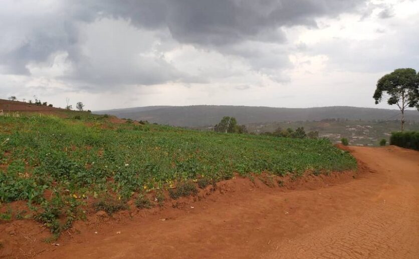 Land for sale in Bumbogo (4)