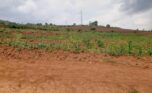 Land for sale in Bumbogo (5)