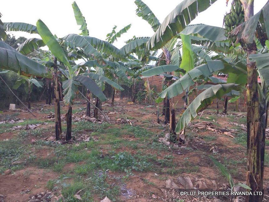 Land for sale in Nyamata