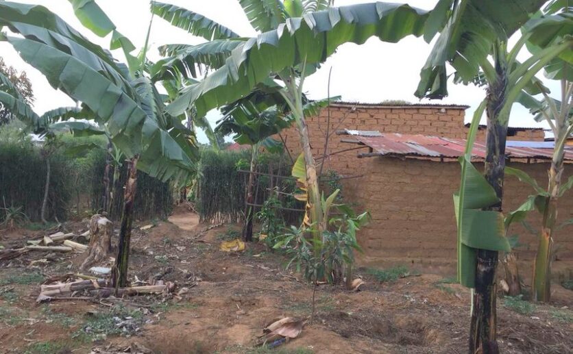 Land for sale in Nyamata (6)