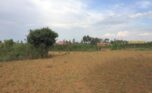 Land in Bugesera (1)