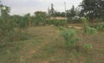 Land in Bugesera (5)