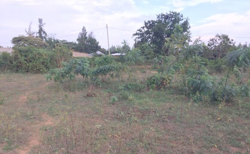 Land in Bugesera (6)