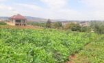 Big land for sale in Kanombe (4)