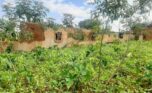 Big land for sale in Kanombe (6)