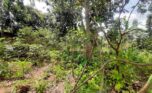Land for sale in Kicukiro (2)