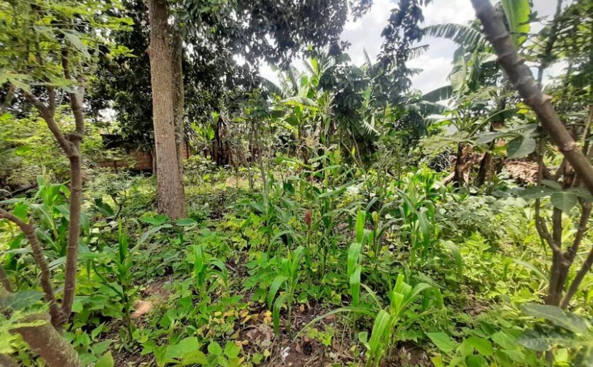 Land for sale in Kicukiro (3)