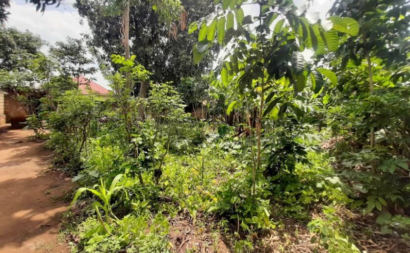 Land for sale in Kicukiro (4)