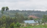 Land for sale in Rwamagana (32)