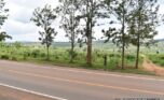 gahanga commercial land plut properties (10)