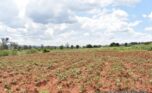 gahanga commercial land plut properties (13)