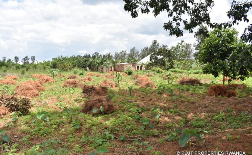gahanga commercial land plut properties (4)