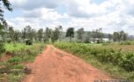 gahanga commercial land plut properties (5)