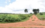 gahanga commercial land plut properties (8)