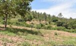 gahanga land plot (10)