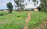 land for sale in Bugesera (10)