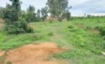 land for sale in Bugesera (12)